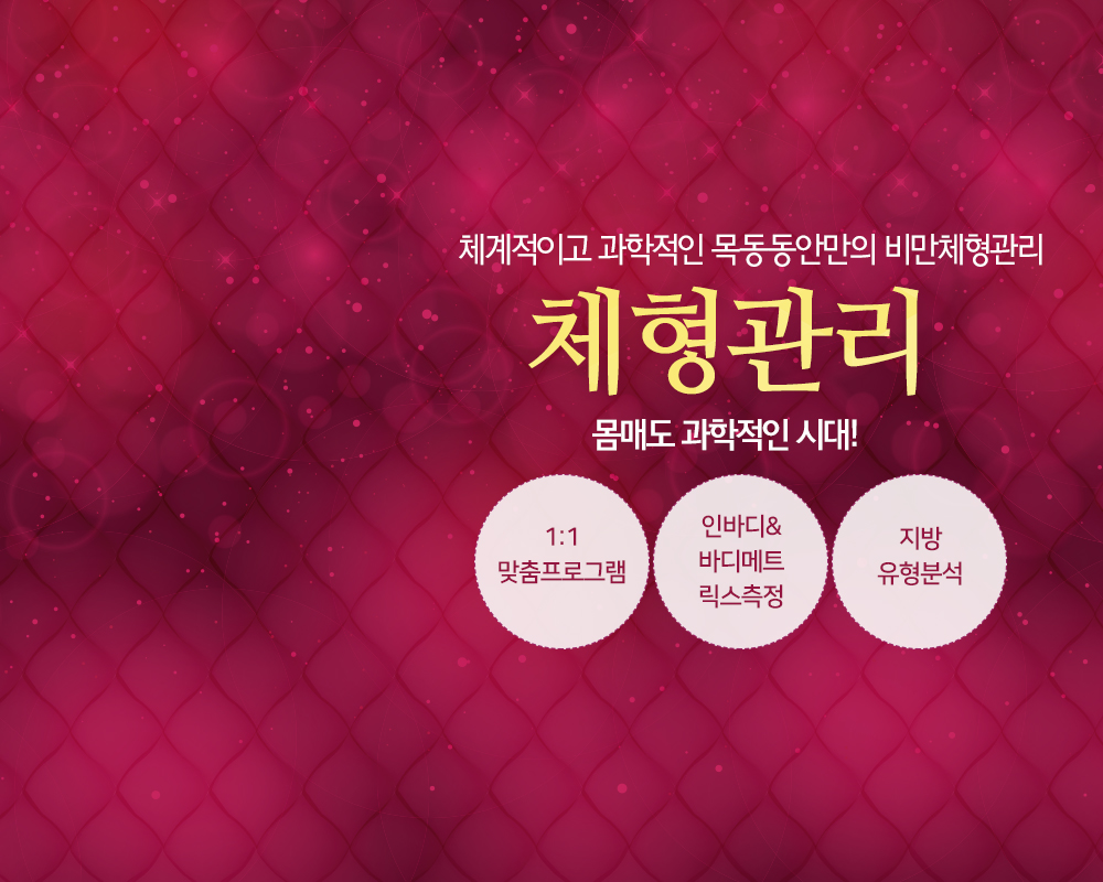 체형