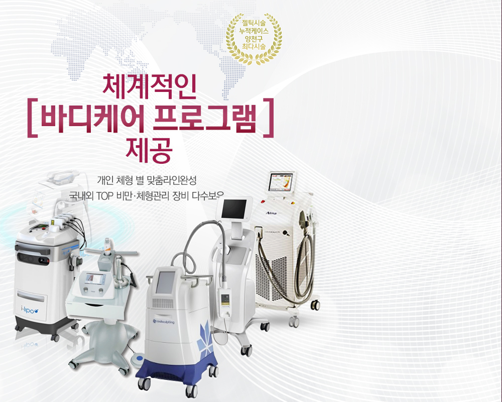 체형